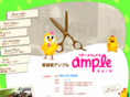 ample-net.com