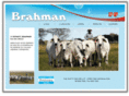 brahman.org.ar