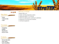 stratek.com