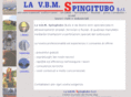 vbmspingitubo.com