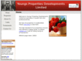 youngsproperties.net