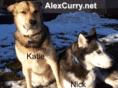 alexcurry.net