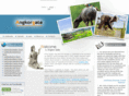 angkorgate.com