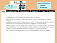 mesataxes.com