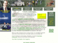 ronsagarino.com