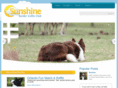 sunshinebcc.com