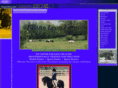 thesportpony.com