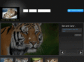 wildlife-artist.org