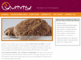 yummyliciouscookiecompany.com