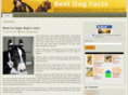 bestdogfacts.com