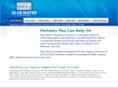 bluewatershipping.com