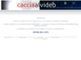 cacciaalvideo.com