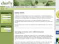 charityinternational.com