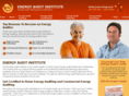 energyauditinstitute.biz