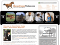 horseownertoday.com