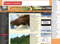 surabaysun.com
