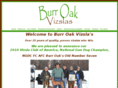 burroakvizslas.net