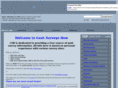 ez-paidsurveys.com