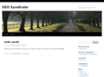 seosyndicate.org