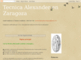 tecnicalexanderzaragoza.com