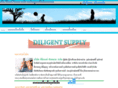 diligent-supply.com