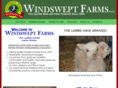 windsweptfarms.com