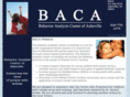 bacasheville.com