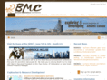buchansminerals.com