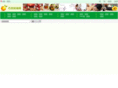 china-essential-oil.com
