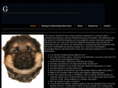 germanshepherdpups.ie