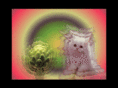 kittynchoke.com