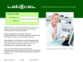 labxcel.com