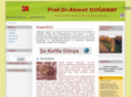 ahmetdoganay.net