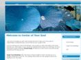 centerofyoursoul.com
