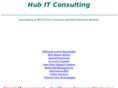 hubitconsulting.com