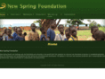 newspringdevelopment.com