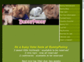 bunnypenny.com