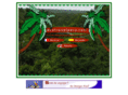 ecotoursperu.com