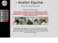 knabstrupper-stallion.info