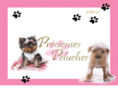 precieuses-peluches.com