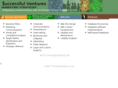 successfulventures.com