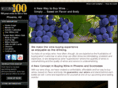vino100phoenix.com