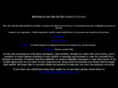 thelitigantinperson.com