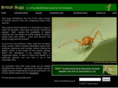 britishbugs.org.uk