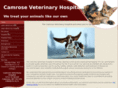 camrosevet.com