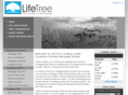 lifetreelending.com