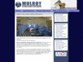 mulroyortho.com