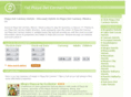 1stplayadelcarmenhotels.com