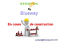 bluewaycare.com