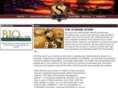 ddsceo.com